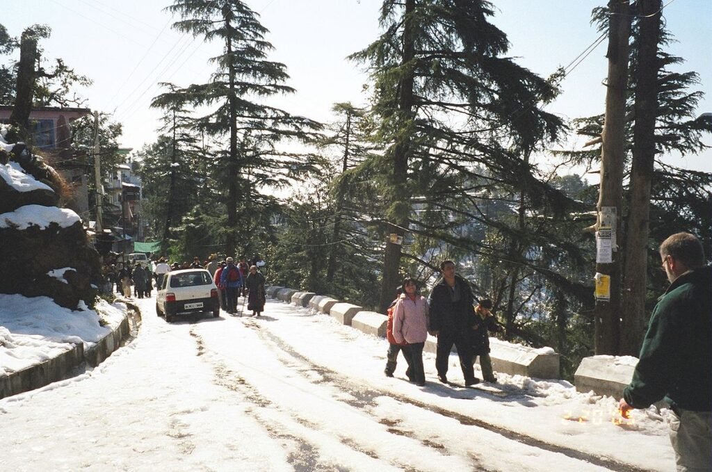 Dharamshala to McLeodganj HRTC Bus Time Table